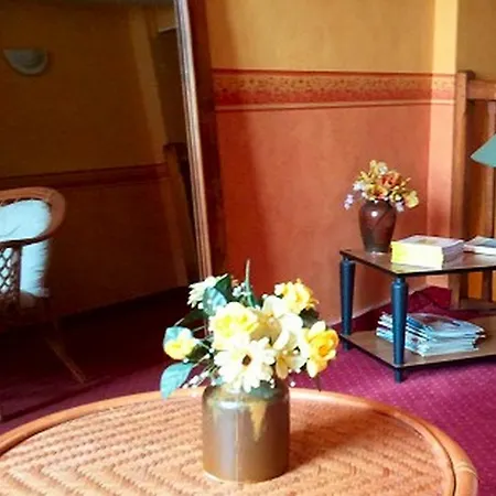 Le Lion D'or Hotel 2*